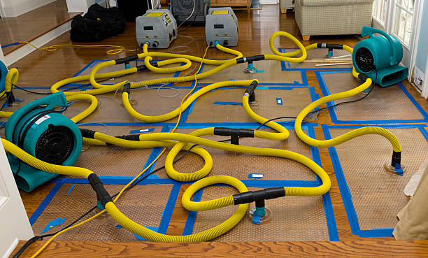 Professional Flood Damage Restoration technician working in Hazel Green, AL